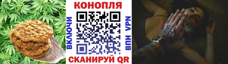 Еда ТГК марихуана  даркнет сайт  кракен сайт  Островной 