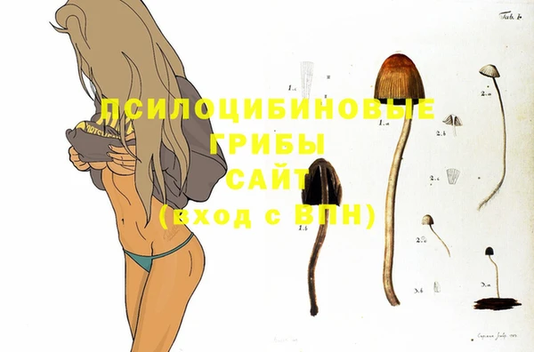 прущая мука Нефтекумск