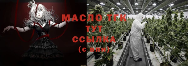 первитин Новодвинск